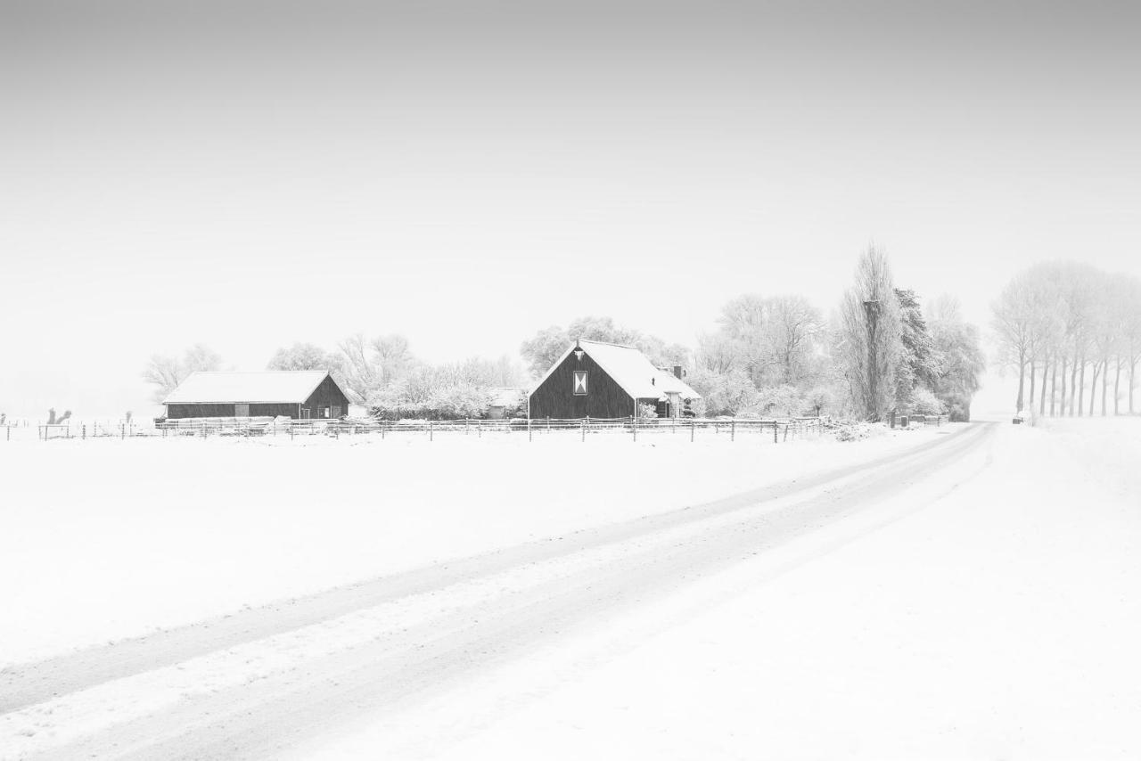 Bed and Breakfast Het Zoete Peerd Groede Exterior foto