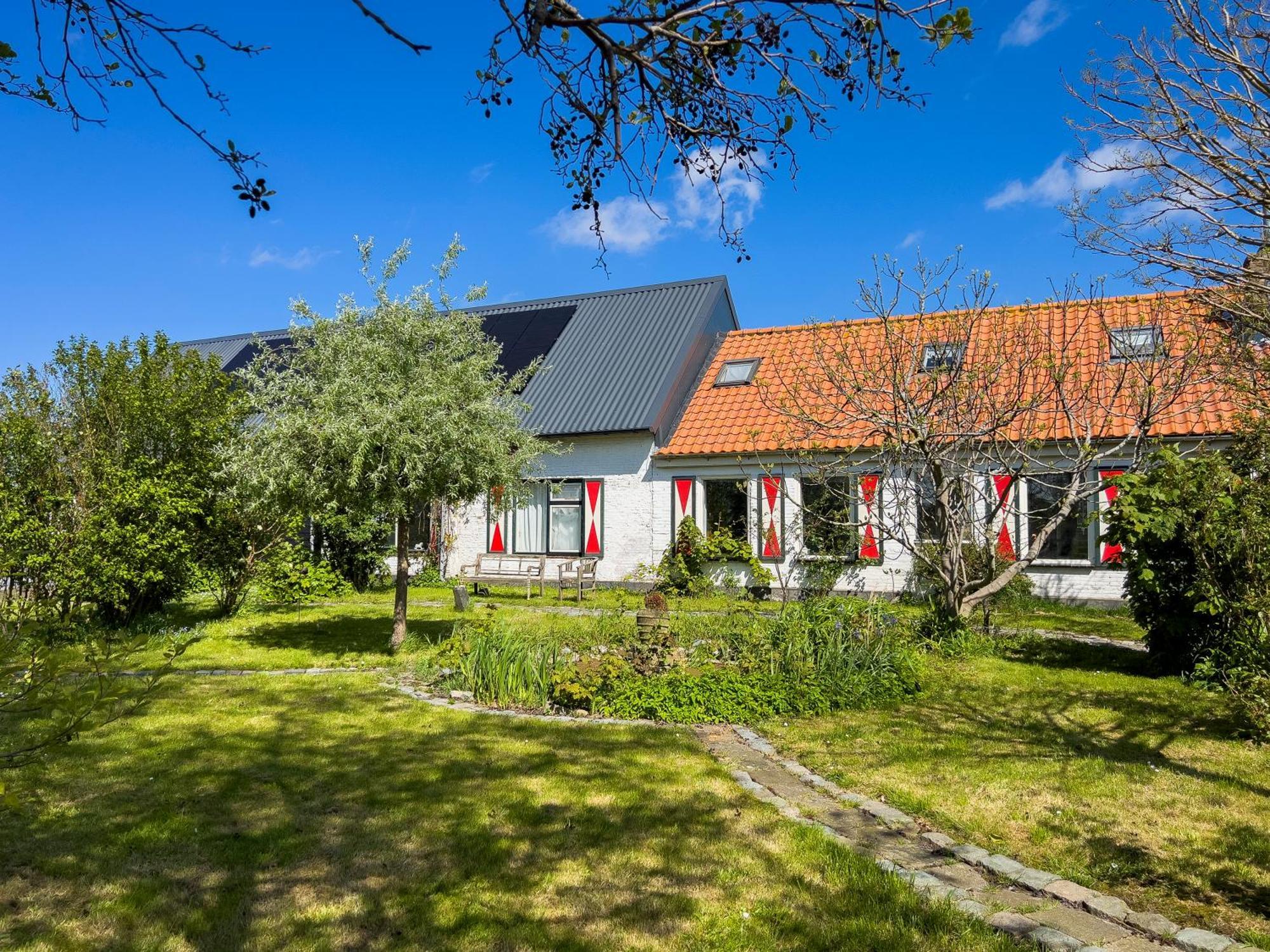Bed and Breakfast Het Zoete Peerd Groede Exterior foto